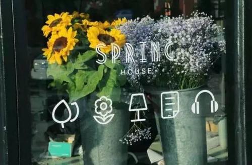 10.当你沮丧时,我会让你快乐。当您感到悲伤时,我会让您感到高兴!当您沮丧时,这就是开心果。当你伤心的时候,我想成为你的烦恼树!