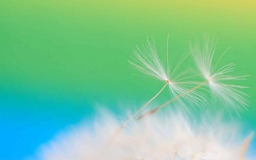 11.母亲不是一个要依靠的人，而是一个使不必要的依靠的人。——费舍尔