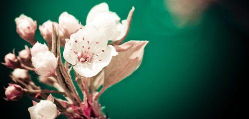 10.通过某些事情，您可以看到人们的内心，看到每个人的贪婪。为了利益，没有人关心家庭感情。