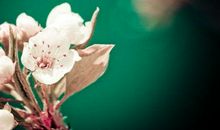 很亲情说拜拜的句子