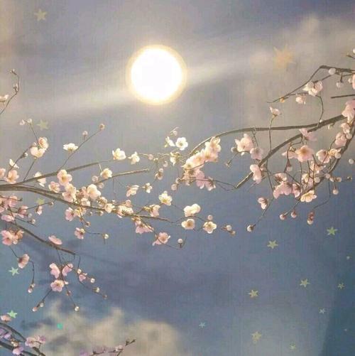 10.一个真正的战士，敢不化妆就面对自己的脸。