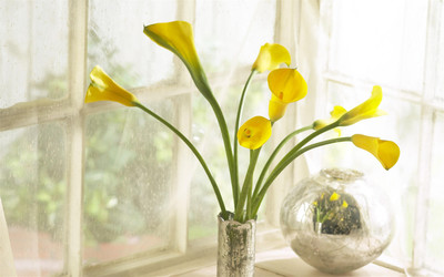 12.如果要处理包括友谊和家庭在内的关系，我宁愿选择冷漠。