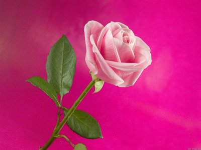 11.无需等待风向你致意，无需等到深夜记住你，即使你很久没见过你了，即使你分散在不同的地方，我仍然总是祝您，希望朋友们，生活愉快，美梦成真！