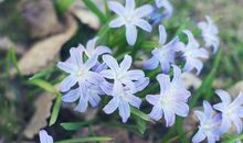 形容很久没有开心的句子