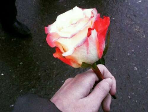 27.只有孩子们问你为什么不理我，还是不喜欢我。成年人之间彼此默契。