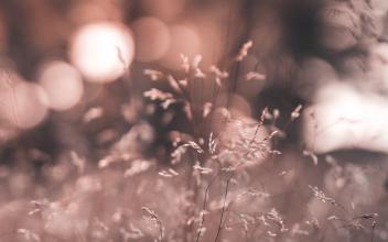 11.谦虚，听取别人的意见，然后认真写下谁对你有意见。