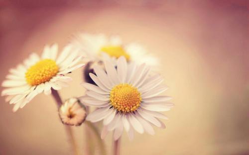 12.增长无非是一次又一次地突破并打破旧的世界观价值观。