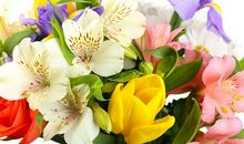 给女生的开头问候短信