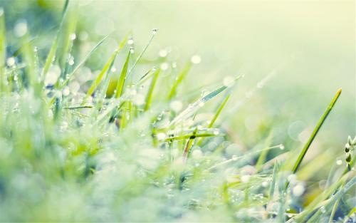 11.事实证明，生活是在透视的同时要抛弃。爱情和家庭感情有时只有一张纸那么薄，只需轻按一下即可将其撕裂。