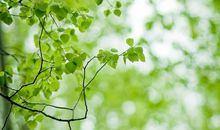 让失恋的人开心的句子说说