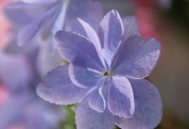 10.钱真是一件好事，透着人们的心，买断感情，友谊，家庭感情，万能……