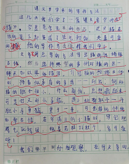 形容快乐角色的句子