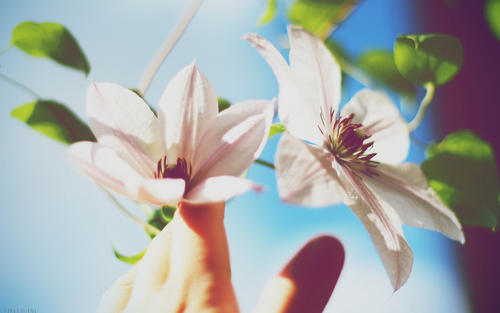 父母在孩子面前隐藏着所有幸福，烦恼和恐惧。