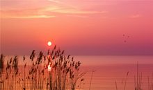 经典说说别人必评第十一期