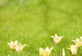 11.在孩子面前，父母应该善于掩饰自己的所有幸福，烦恼和恐惧。