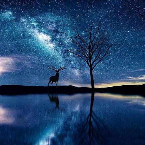 互联网上最热门的句子