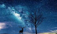 网络最火的句子