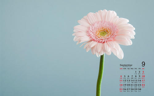 10.当我难过时,家庭之爱使我感到安慰。当我犹豫时,家庭之爱鼓励着我。当我快乐时,家庭之爱给了我祝福。