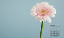 写亲情的句子加点评