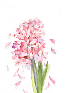 所有杰出的特殊人物都有一个伟大的母亲，生命的后期都非常尊重她的母亲，作为他们最好的朋友。