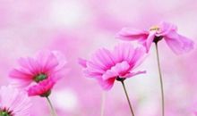 一句关于亲情的句子