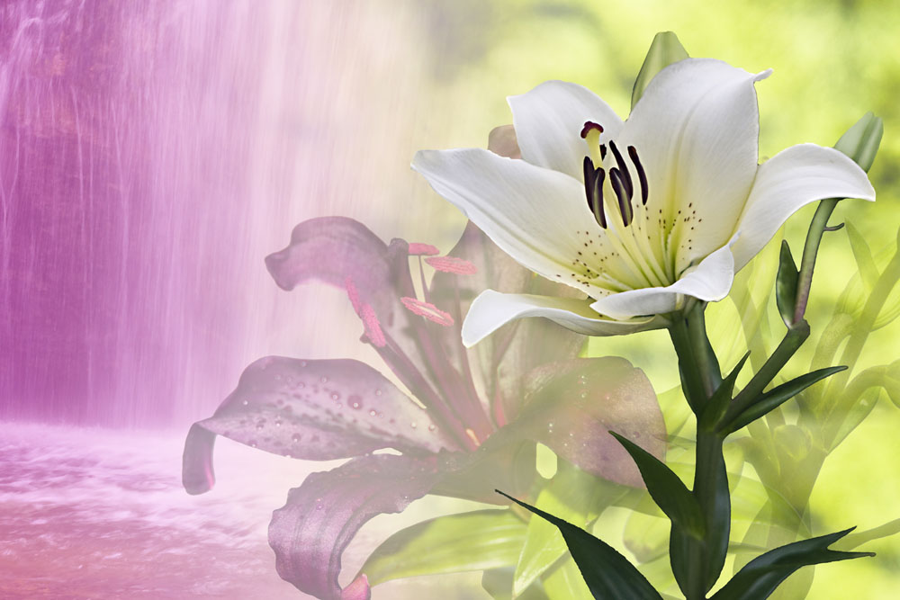 9.寒冷是冬天的一部分，温暖是祝福的特权，健康是幸福的截图，幸福是美丽的代言，我的朋友，我心中只有一个愿望，在你身边的和平永远不会改变！