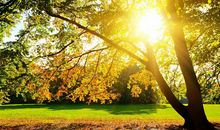 跟幼儿园孩子在一起开心的句子