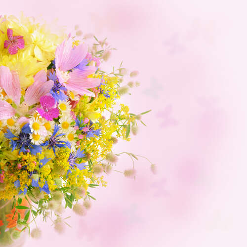 10.下雪了，阳光明媚，别忘了享受它。大雪再次降世，让狂风吹过你的疲倦，让飞舞的雪花美化你的心，让温暖的问候围绕着你。