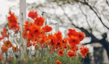 形容和同事去玩的开心的句子 怎么表达和同事一起出去玩的句子