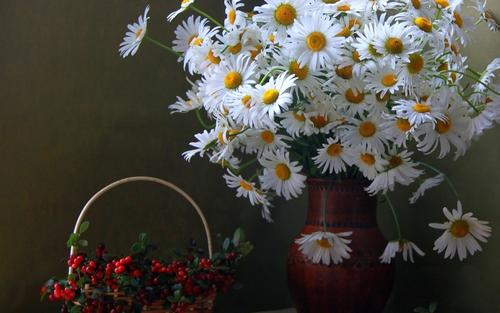 11.生活中至少必须有两种冲动，一种是对绝望的爱的冲动，另一种是对旅行的冲动。