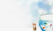 感慨一下开心的句子有哪些 开心感慨的句子说说心情