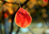 9.考虑一下。我长大了，除了叛乱时期的父母外，与人们正面冲突或激怒的次数几乎很少。数数可以让我真的发脾气，但是我对一个人真的很失望。在我变得脾气暴躁之前，我已经做好充分的准备，以后将不再多说。此人也将归类为我根本无法相处的范围。这种情况确实很少见，但这并不意味着不会发生。