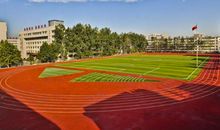 歌颂校园的句子