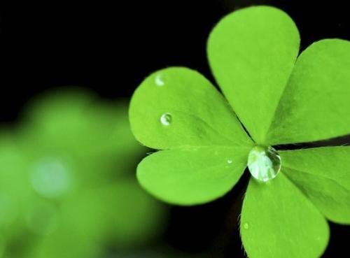 12.如果你想去，快点走，不要浪费我的时间，仍然没有好结果。