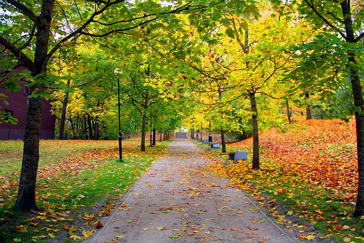 赞美校园的句子2