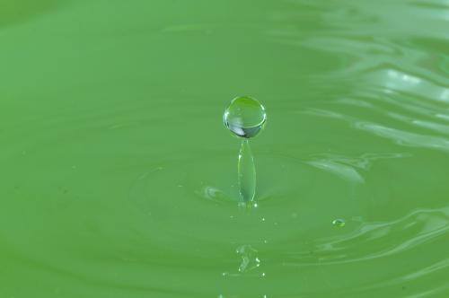 12.在那一瞬间，我发现世界上所有的母亲都很容易被欺骗和满足！那一刻，我忍不住哭了。