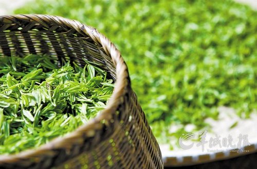 关于茶2的美丽句子