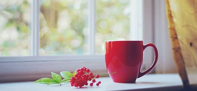 11.每个人都越来越好，成为他们想要成为的人，所以我必须给鸭子加油！