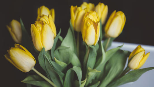 10.钱不是太多，只有你。房子不大，创意十足。