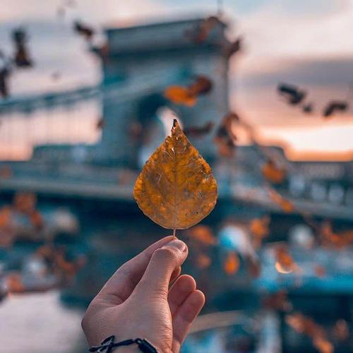 9.他说放手一生。