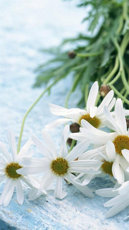 10.确定方向，以开心的心情做自己喜欢的事，然后慢慢改变自己以吸引更多美丽的事物。