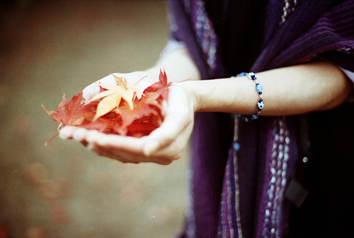 10.因为有了感恩，才能有这个多彩的世界，因为有了感恩，才能有真诚的友谊，因为有了感恩，我们才能理解生活的真meaning。