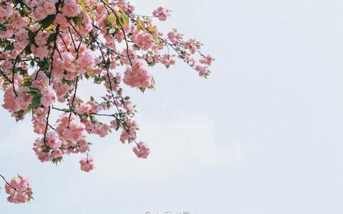 11.我刚刚发现不必加班是一件很快乐的事情。