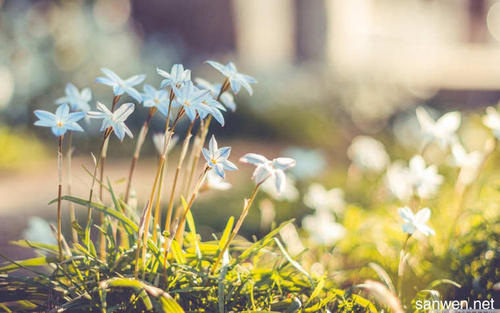 关于青春梦想的一句话