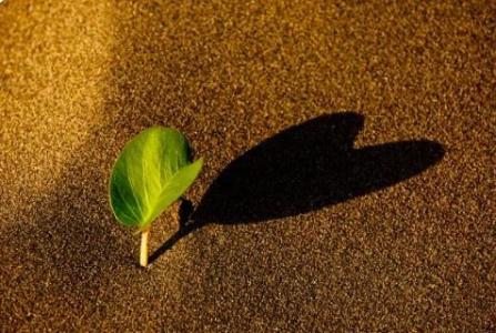 10.有几条路，如果不走的话，就不会知道那里的风景有多美丽。