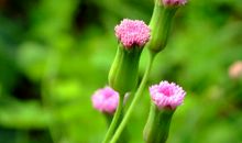 形容人很不开心的句子