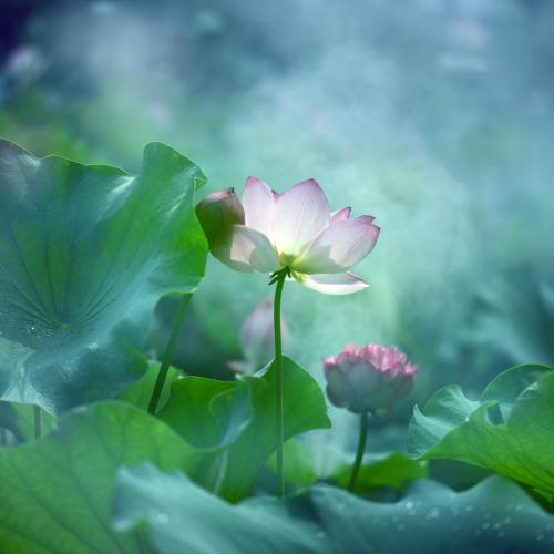 10.母爱是人类最美丽的情感，因为这种情感没有与利润之心混在一起。