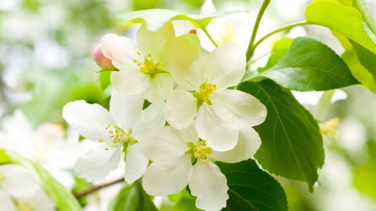 12.一生必须充满快乐，悲伤导致纪律丧失，愤怒导致行为失范，悲伤，欢乐和愤怒无处不在。如果您喜欢保持安静，如果遇到混乱和公义，请不要领导或摧毁，祝福会回来。