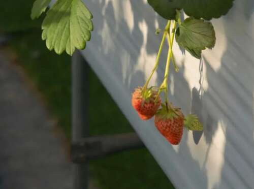 64.不要打扰他，不想和他分享一切，说话后不要充满血腥和尴尬。