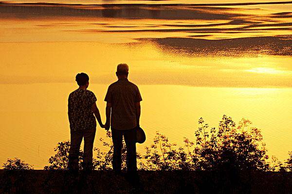 真爱的审美句子